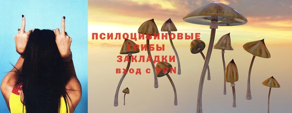 Альфа ПВП Медвежьегорск