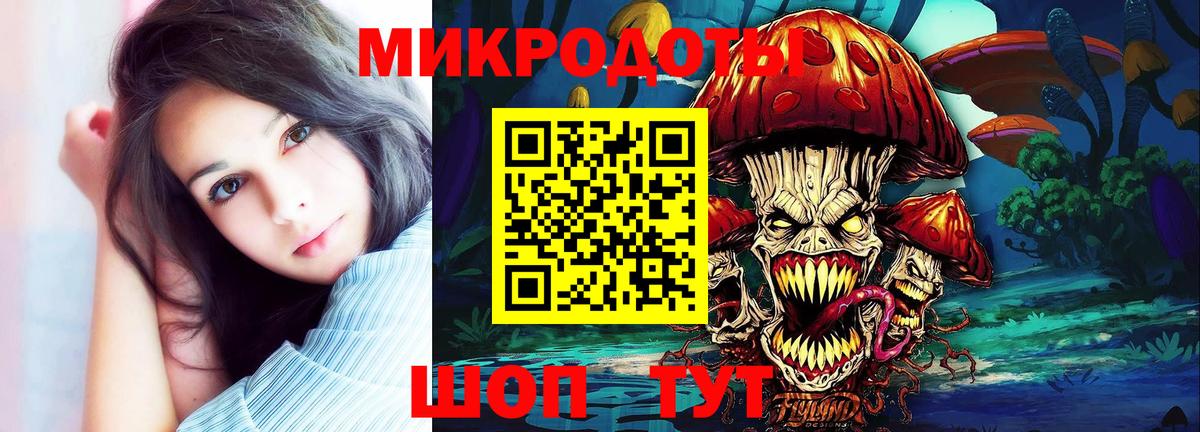 Галлюциногенные грибы Psilocybine cubensis  Вход с VPN  Советская Гавань 