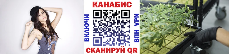 купить закладку  Советская Гавань  Шишки марихуана THC 21% 